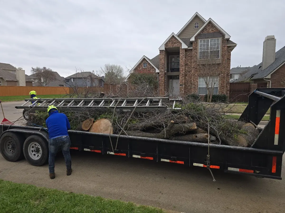 Expert Tree Fertilization with proper safety equipment in Coushatta